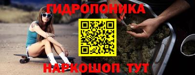 СК Новокубанск