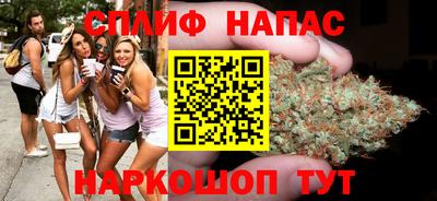 СК Новокубанск